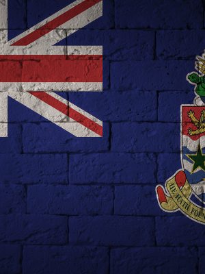 flag-with-original-proportions-closeup-of-grunge-2025-10-11-17-42-12-utc