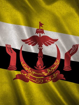 flag-with-original-proportions-flag-of-the-brunei-2025-10-13-09-09-03-utc
