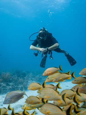 male-diver-posing-among-a-school-of-yellow-fish-2025-02-21-12-48-05-utc-scaled.jpg