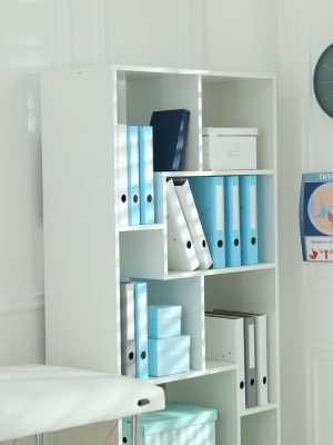 Shelving unite with folders in doctor's office