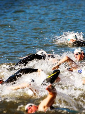 triathletes-swimming-2026-01-05-05-31-32-utc